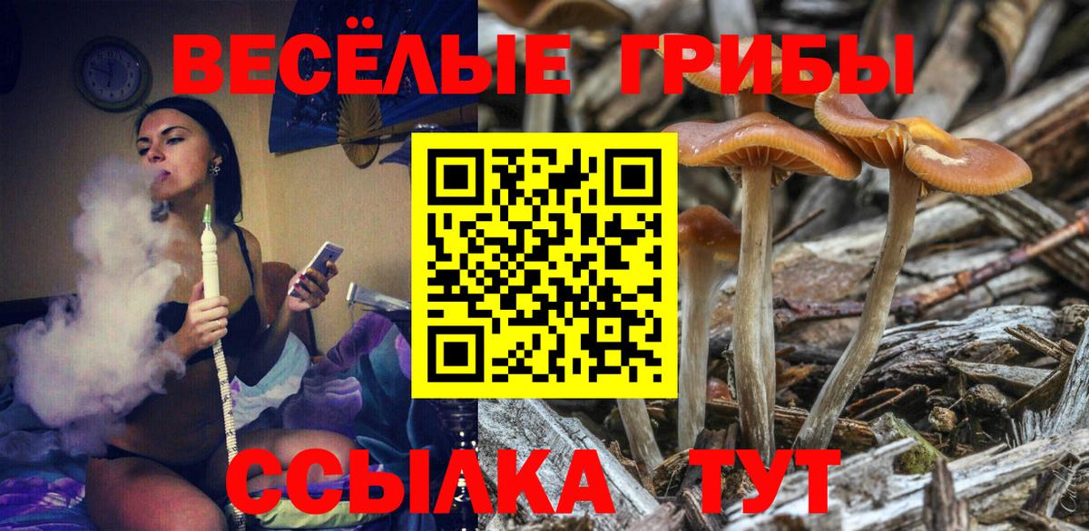 Галлюциногенные грибы ЛСД  Галлюциногенные грибы ЛСД  Владивосток  Вход с VPN 