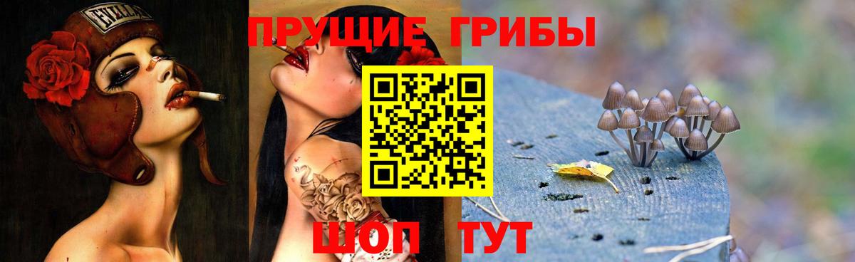 Галлюциногенные грибы Psilocybe Владивосток